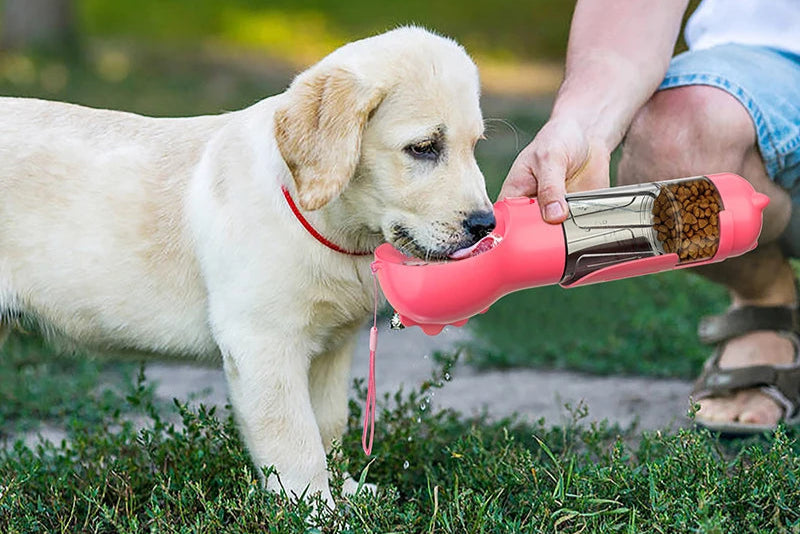 3-in-1 portable water bottle