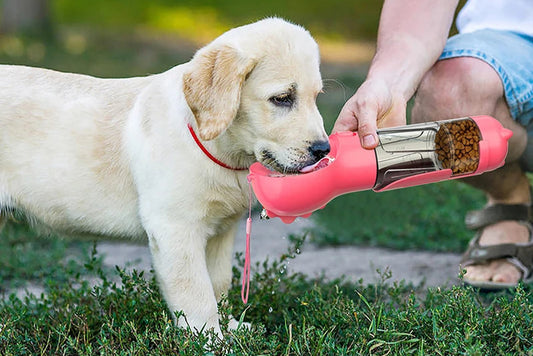 3-in-1 portable water bottle